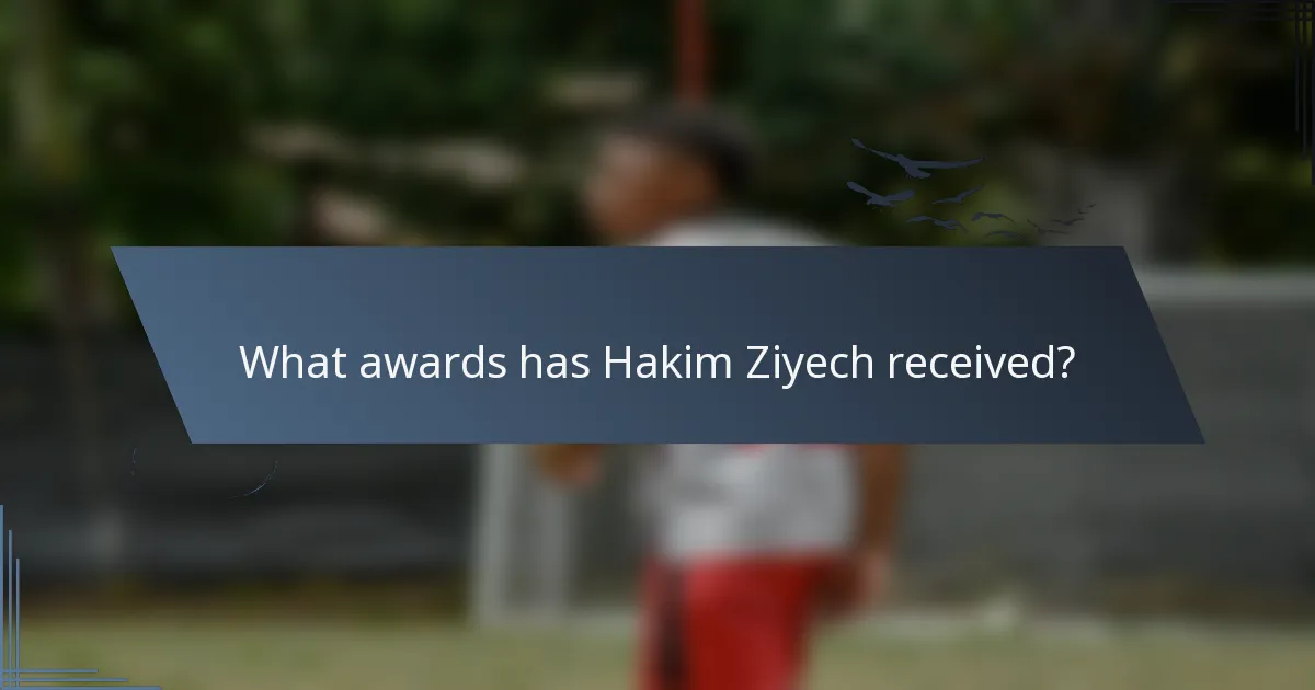 What awards has Hakim Ziyech received?