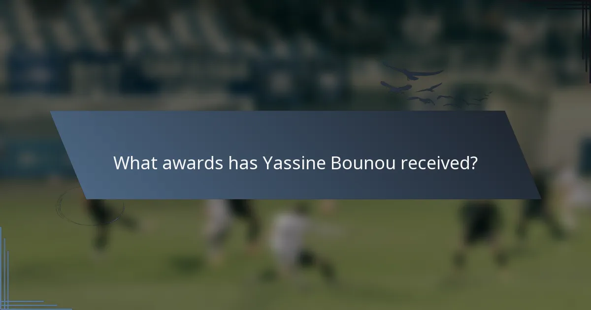 What awards has Yassine Bounou received?
